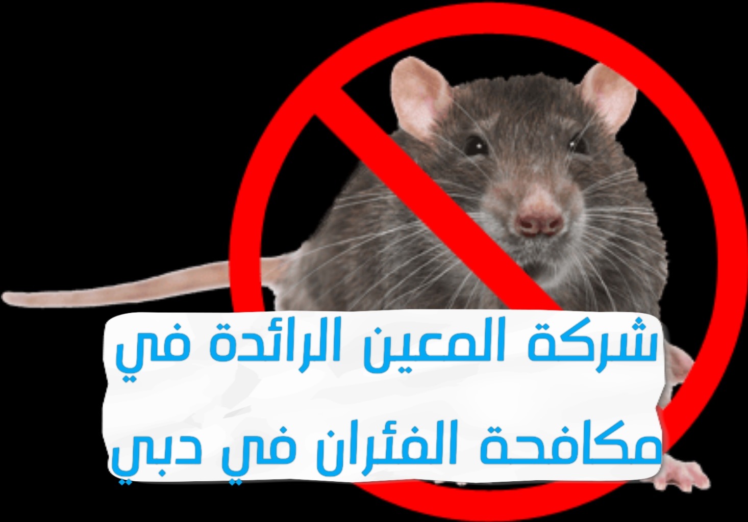 شركة المعين الرائدة في مكافحة الفئران في دبي – 0567833266