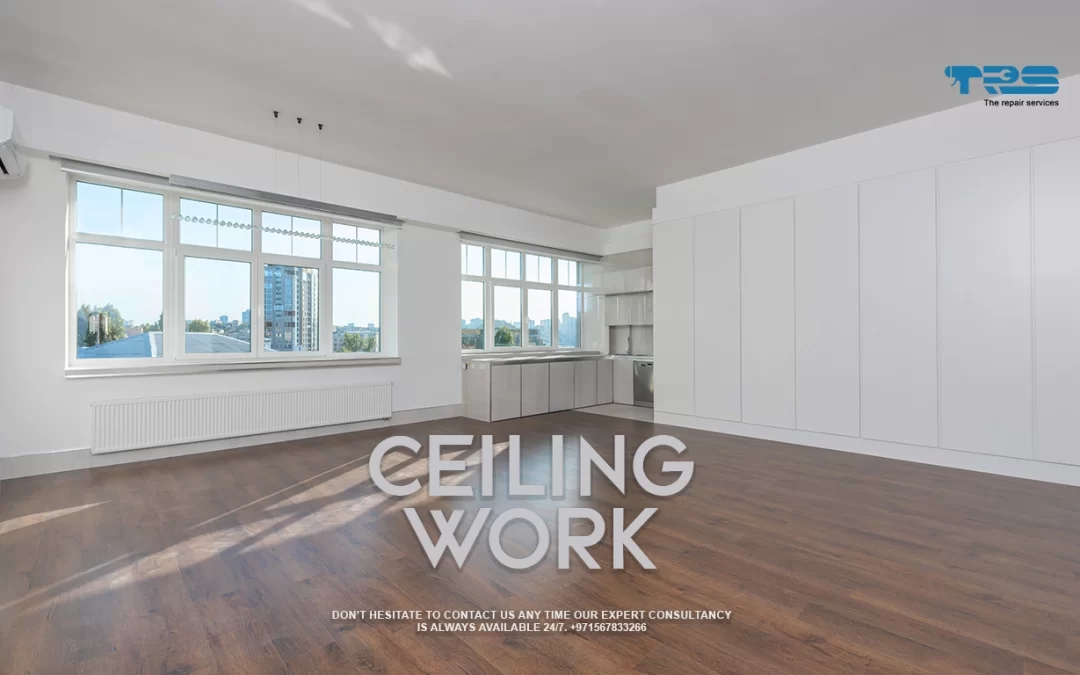 ceiling work