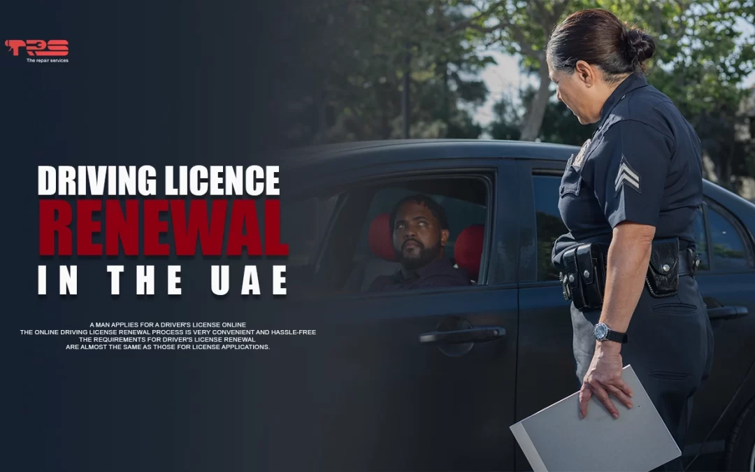 DRIVING LICENCE RENEWAL | 0567833266