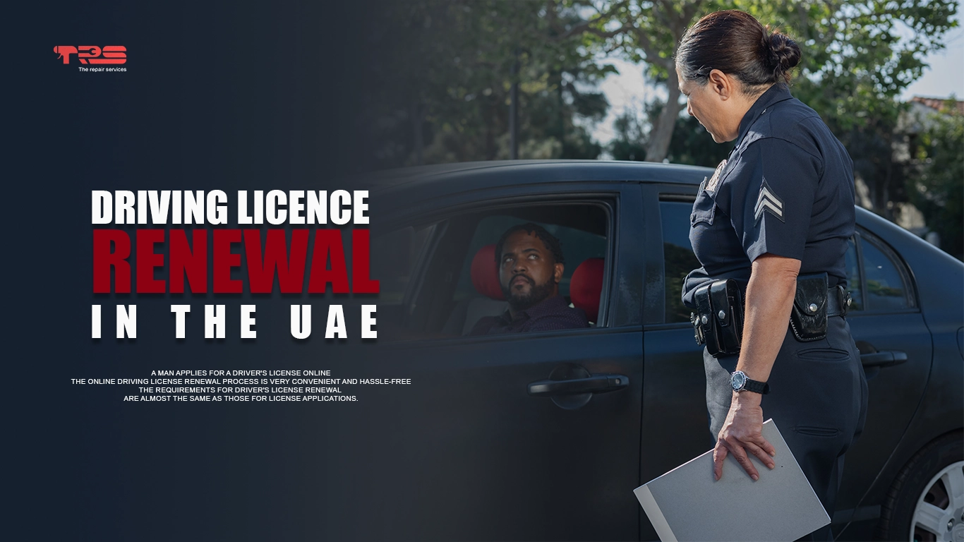 DRIVING LICENCE RENEWAL | 0567833266